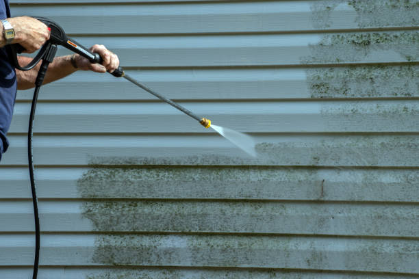 Best Roof Pressure Washing  in Oak Park, CA